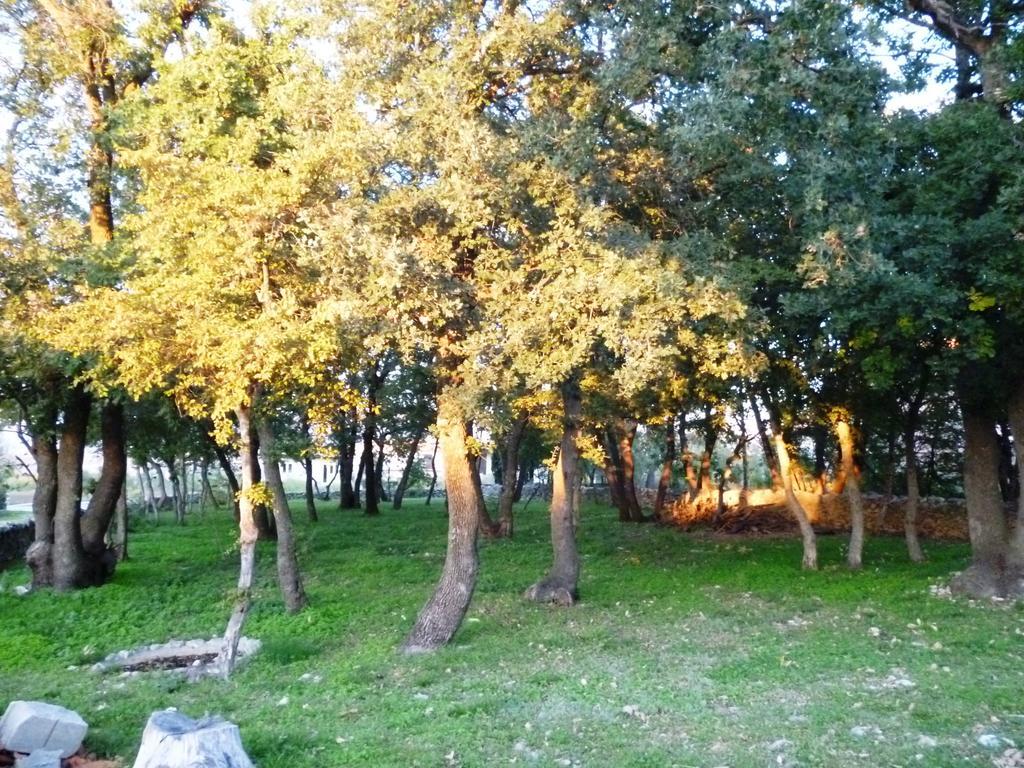Apartment Put Vidaka Policnik Dış mekan fotoğraf
